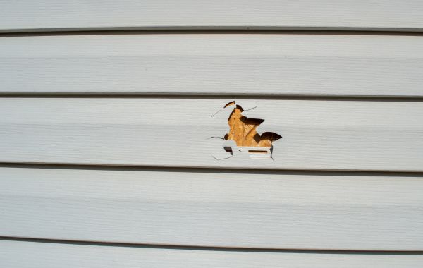 Cost of Siding Hole Repair in Yuba City