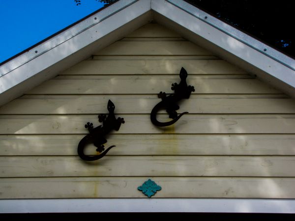Cost of Shiplap Siding Installation in Yuba City